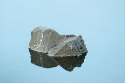 Close-up of reflection in water