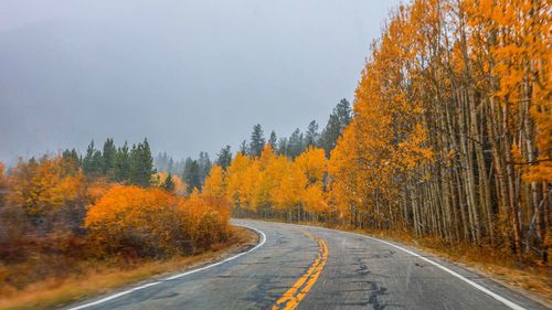 Road amidst trees in forest against sky during autumn