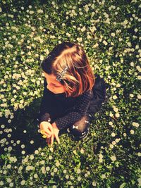 High angle view of woman with flowers