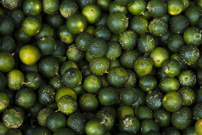 Full frame shot of blueberries