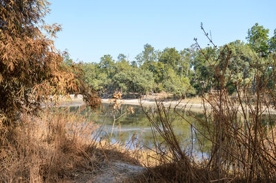 Scenic view of lake against clear sky