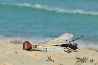 Shuttlecock on sand at beach