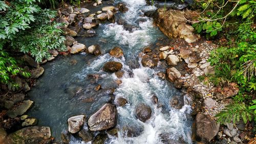 Stream flowing through rocks in forest