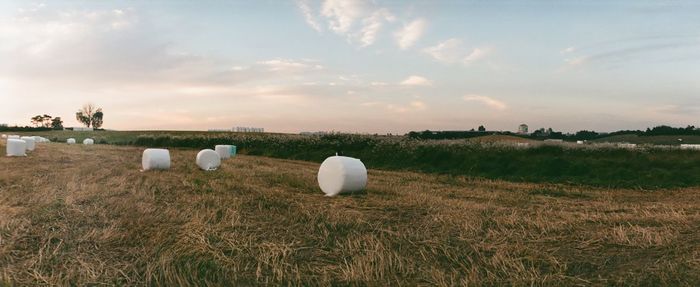 Covered hay bales on field against sky