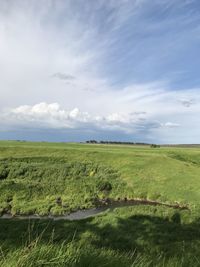 Scenic view of field against sky