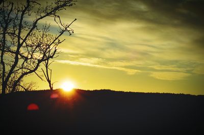 Silhouette of trees at sunset