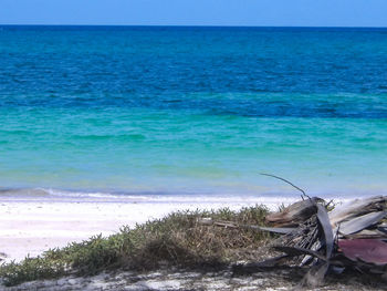 Scenic view of sea against clear blue sky