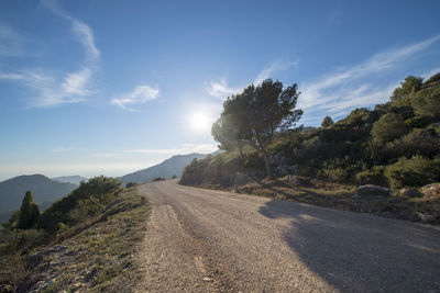 Road amidst trees against sky