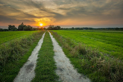 Dirt road through the green fields towards the sunset, eastern poland