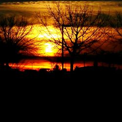 Silhouette bare trees against orange sky