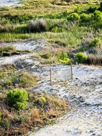 Plants growing on field