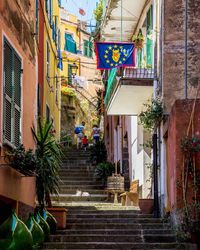 Steps amidst potted plants in city