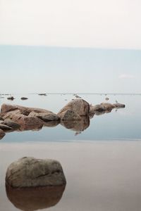 Close-up of rocks on shore against clear sky