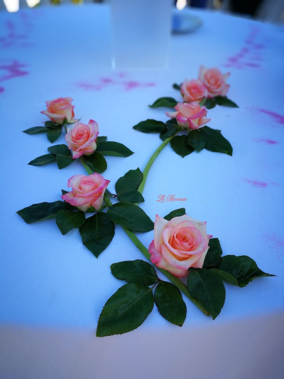 CLOSE-UP OF PINK ROSES IN VASE ON TABLE