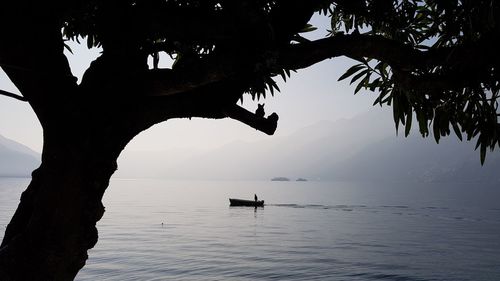 Silhouette tree by sea against sky