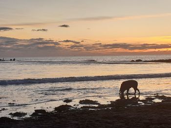 Sunset in aberavon beach beautiful 