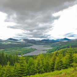 Scenic view of forest and mountains against sky