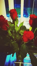 Close-up of red flowers