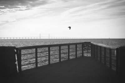 Seagull flying over sea against sky