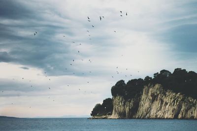 Birds flying over sea against sky