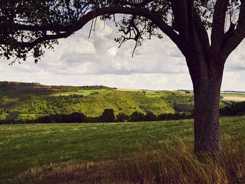 Scenic view of field against sky