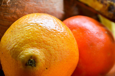 Close-up of orange