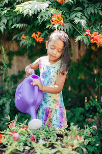 Diverse mixed race pre school girl outdoors during summer watering plants in garden