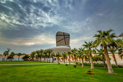 Palm trees on field against sky