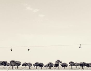 Low angle view of birds on electricity pylon against sky