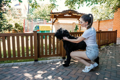 Young woman playing with giant schnauzer in the backyard. the owner training his dog pet in summer