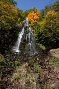 Scenic view of waterfall in forest