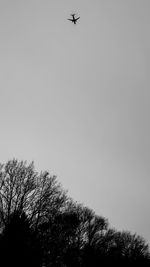 Low angle view of hot air balloon