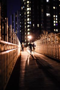 Rear view of people walking on illuminated street at night