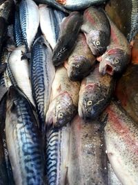 Full frame shot of fish for sale in market