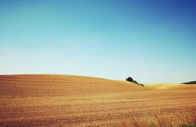 Scenic view of landscape against clear sky