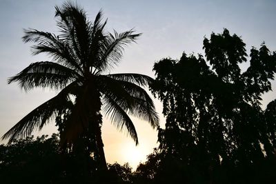 Low angle view of silhouette palm trees against sky during sunset