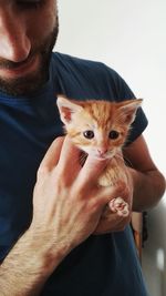 Midsection of man holding kitten