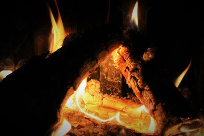 Close-up of bonfire at night