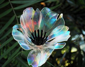 Close-up of blue flower against blurred background