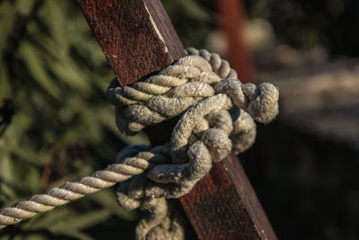 Close-up of rope tied on wood