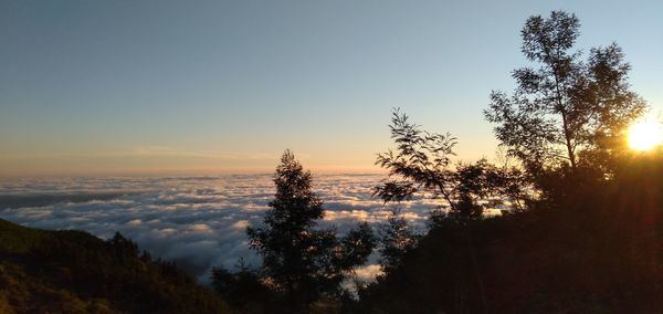 Scenic view of sunset