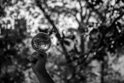 Close-up of hand holding crystal ball