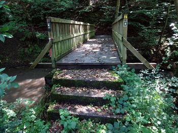 Footbridge in forest