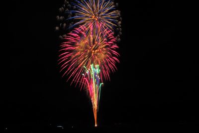 Low angle view of firework display at night