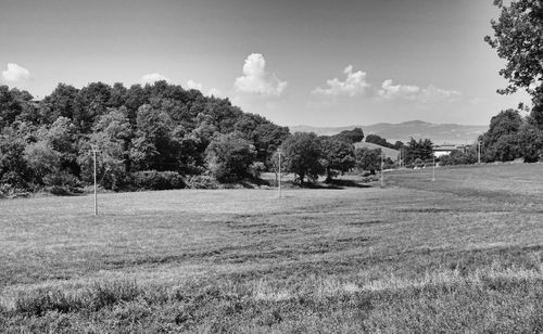 Trees on field against sky