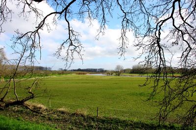 Scenic view of field against sky