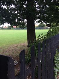 Trees on field seen through fence