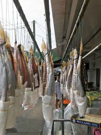 Panoramic shot of fish for sale in market