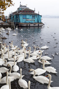 Switzerland, zurich 4.11.18. the herzbaracke cabaret-theatre on a watercraft on lake zurich