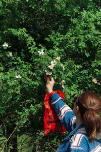 Woman picking flowers from tree